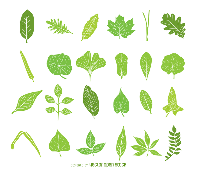 Green leaves icon isolated pack Green leaves icon isolated pack