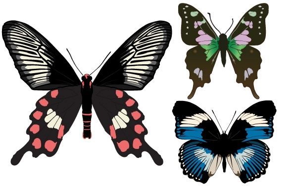 Free Free 195 Cricut Vector Butterfly Svg Free SVG PNG EPS DXF File