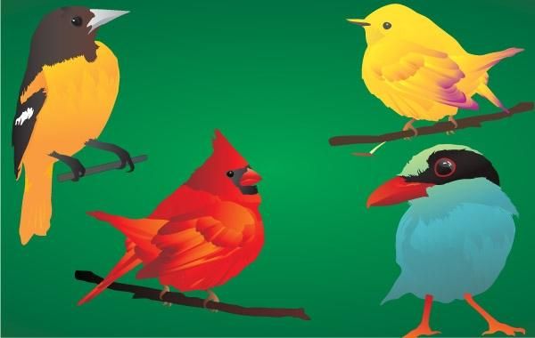 4 beautiful & detailed birds! 4 beautiful & detailed birds!