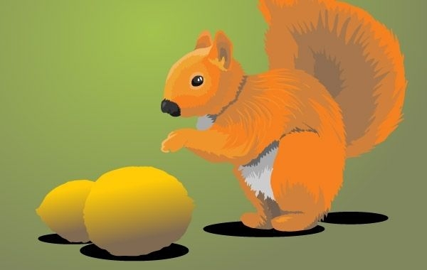 Eichhörnchen mit Zitronen