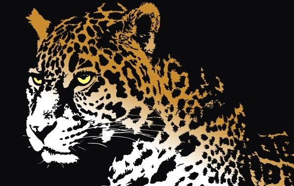 Jaguar Jaguar