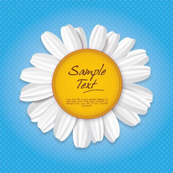 Chamomile Daisy Floral Banner Chamomile Daisy Floral Banner