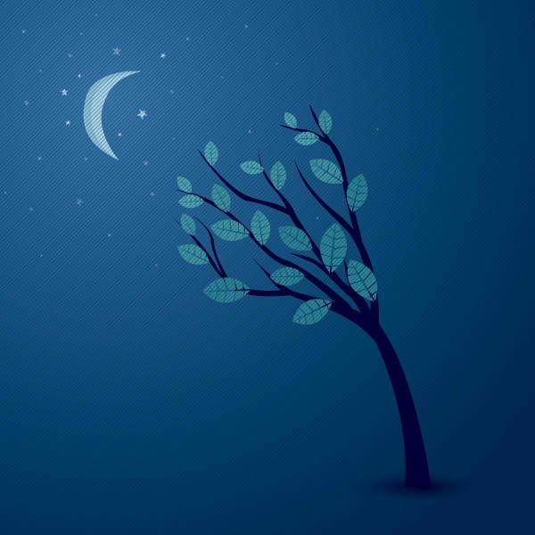 Árvore abstrata do céu da meia-noite