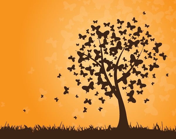 Fondo de puesta de sol de árbol de mariposas