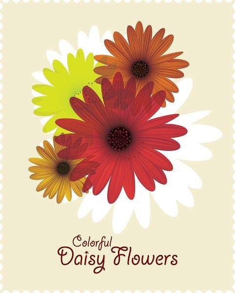 Cartão colorido da flor da margarida