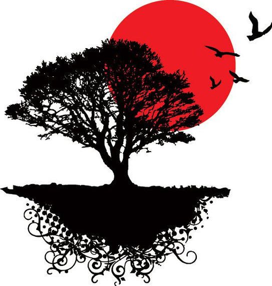 Sunrise Tree Landscape Birds Sunrise Tree Landscape Birds