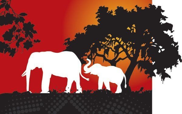 Elefantes na Floresta