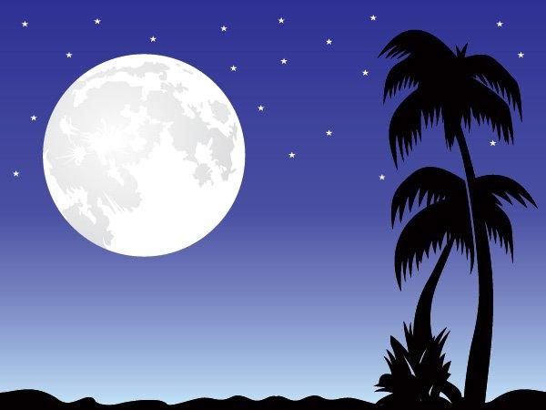 Download Vector Romantic Moonlight Night Scene Vectorpicker