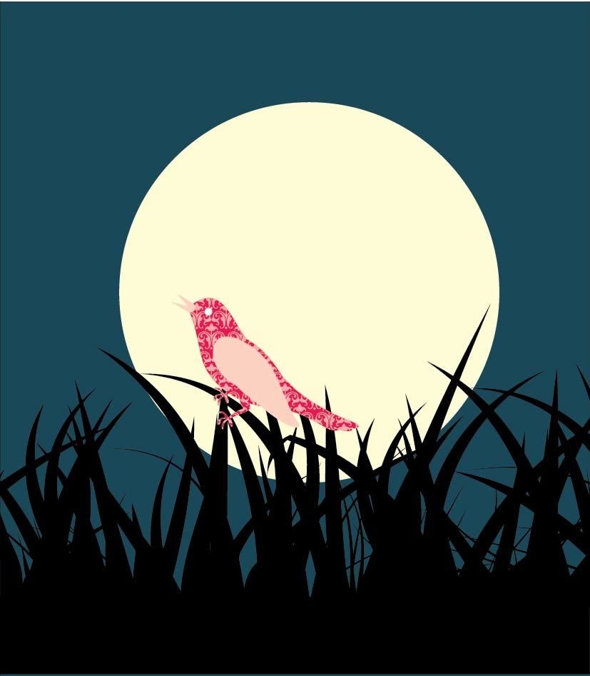 Gras Landschaft Vogel Mitternacht Hintergrund