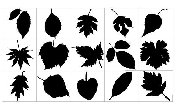 Download Leaf Silhouettes - Vector download