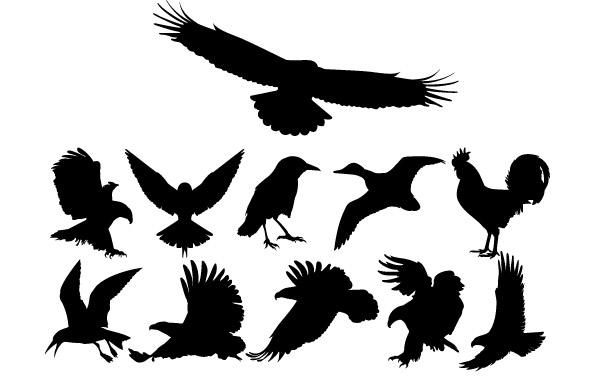 Vögel Silhouetten eingestellt Vögel Silhouetten eingestellt