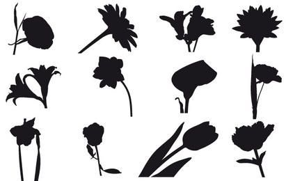 flores do campo livre