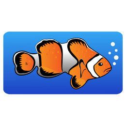 Clownfish Vector